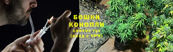 a pvp Верея